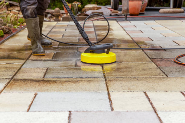 Best Roof Washing  in Homeacre Lyndora, PA